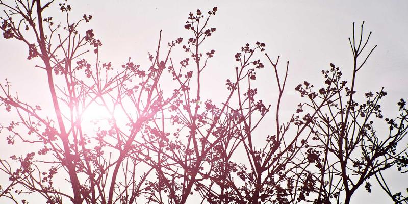 从景观照明到智能会议：杭州众旺LED会议一体机如何重塑企业高效协作新场景