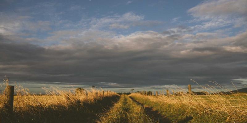 光影艺术新篇章：杭州众旺LED租赁屏如何重塑大型演唱会与音乐节的灯光设计与城市景观照明