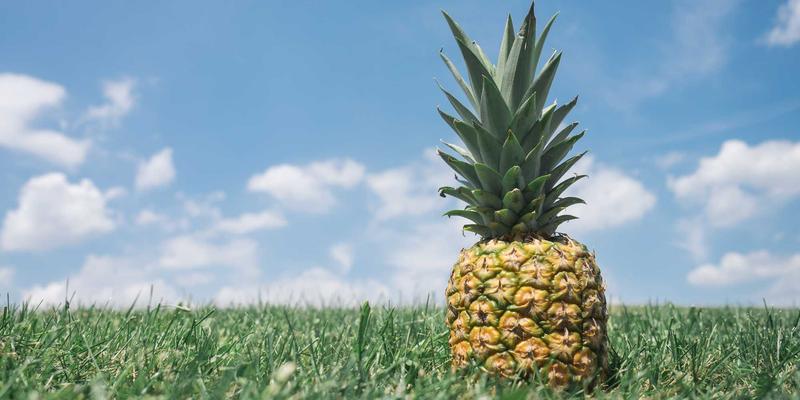 光影造梦：杭州众旺LED异形屏定制方案如何重塑主题乐园景观照明新体验