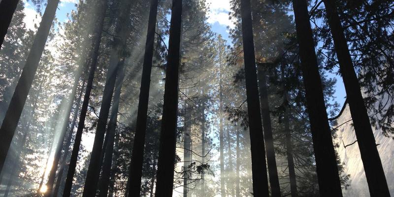 智慧指挥新视界：杭州众旺LED小间距屏如何重塑控制中心灯光设计与视觉体验