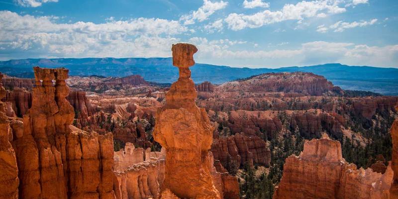 杭州众旺LED49：点亮城市未来，引领亮化工程新纪元