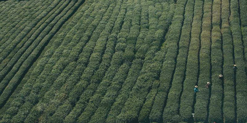 杭州众旺LED指挥调度中心解决方案：打造智慧城市可视化中枢，赋能高效管理与应急响应