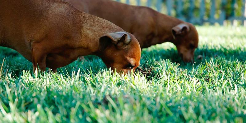 杭州众旺LED照明工程案例深度解析：如何用光影重塑城市夜间景观