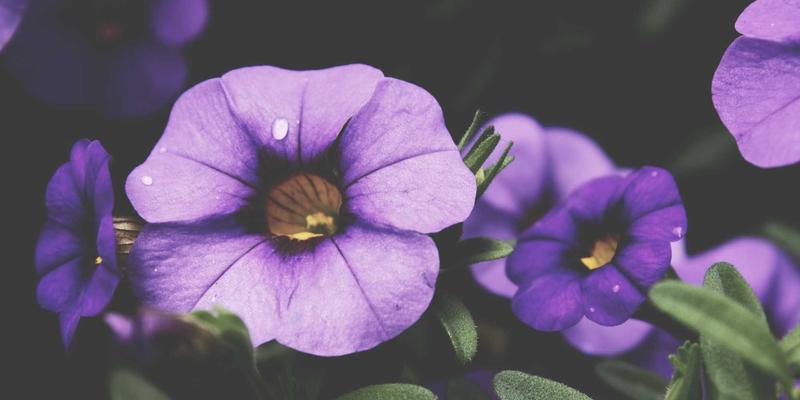 杭州众旺LED节能屏技术解析：如何为亮化工程降低长期运营成本与能耗