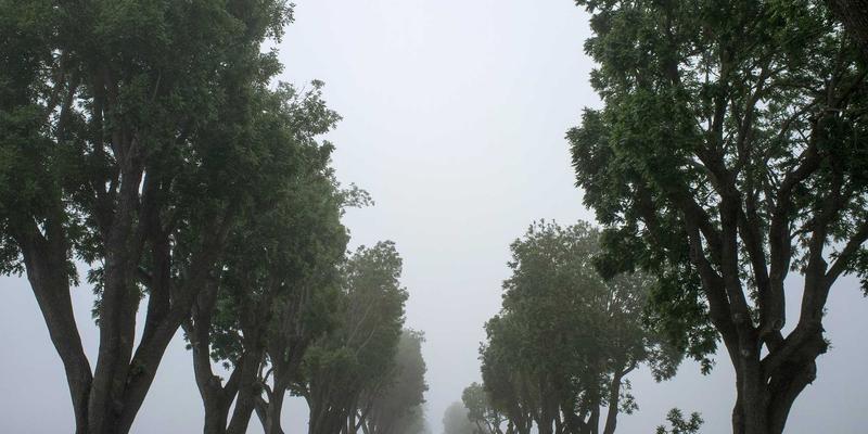 杭州众旺LED透明屏技术解析：如何重塑城市照明与景观照明的视觉融合新范式